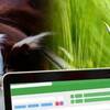 Toma de decisiones para el agro con EXCEL
